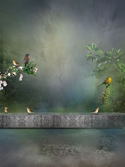background images  photo studio