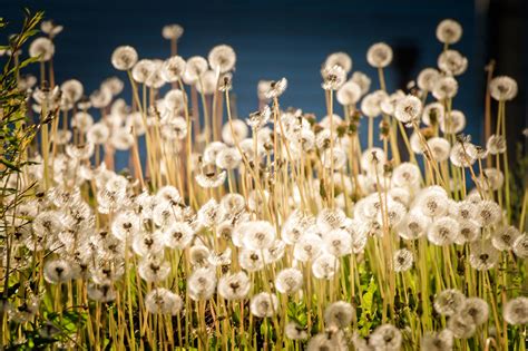 kouvolan sanomat home facebook