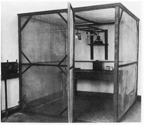 Faraday Cage Attention Deficit Disorder Prosthetic Memory Program