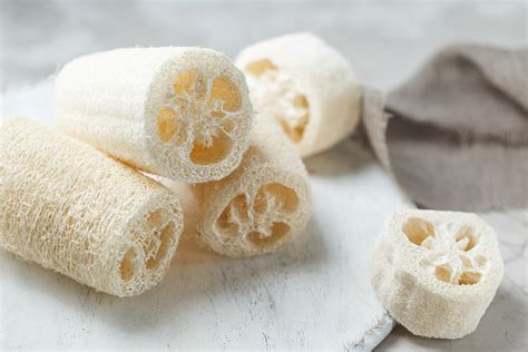 Esponja de luffa qué es beneficios y cómo usarla Descubre sus