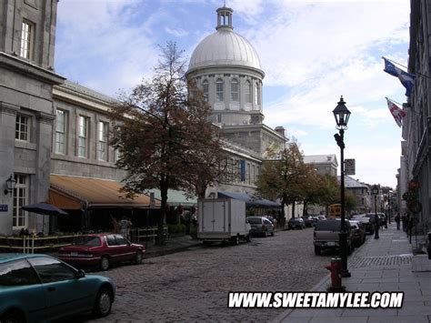 Long Haired Cutie Sweet Amylee Flashing Her Tits In Public Porn Pictures XXX Photos Sex Images