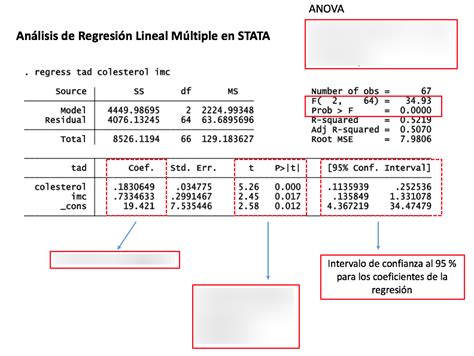 Diagrama De Interpretación De Regresión Lineal Múltiple Stata Quizlet