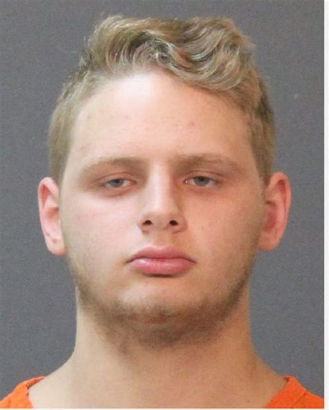 Cpso Arrests Convicted Sex Offender For Counts Of Carnal Knowledge Orange Leader