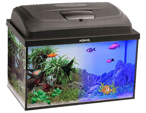 AKWARIUM 72L 60x30x40cm+ LED DZIEŃ/NOC +4 gratisy - 11327024500 ...