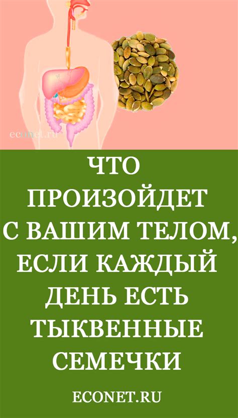 Что произойдет с вашим телом, если каждый день есть тыквенные семечки ...