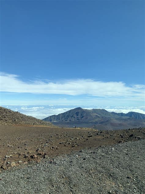 adventurous family movies