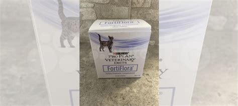 FortiFlora пррбиотик для кошек купить в Москве | Животные и зоотовары ...