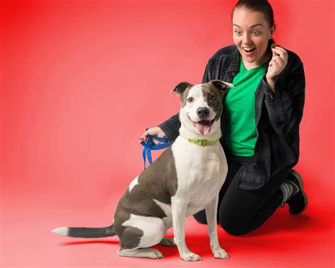 Volunteers are protesting the new humane animal rescue of pittsburgh rules