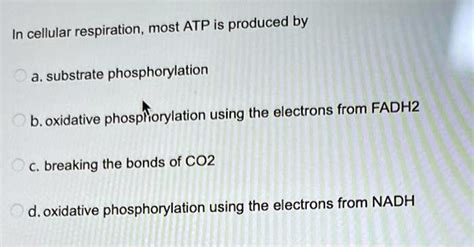 Solved In Cellular Respiration Most Atp Is Produced By A Substrate Phosphorylation B