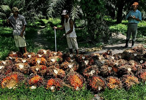 Samantha Brown Net Worth - Wiki, Age, Weight and Height, Relationships