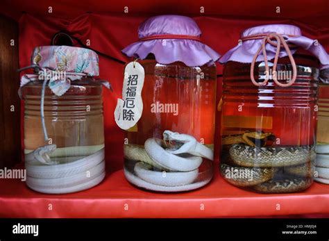 Habu snake hi-res stock photography and images - Alamy