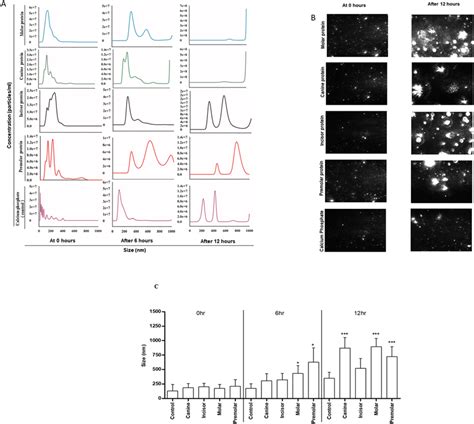 Nanoparticle tracking analysis (NTA) size measurement experiments to ...