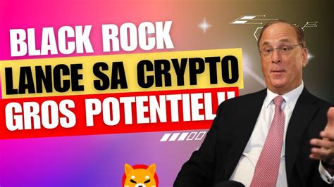 Blackrock Lance Son Token Buidl Une Pepite O Investir Ses Shiba Tout