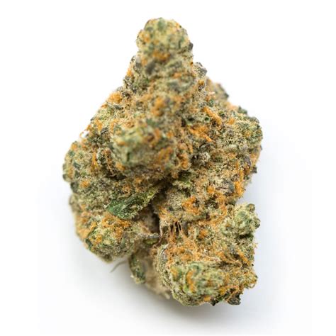 Triangle Mints Strain | Cannabis Strains | Flavor Fix