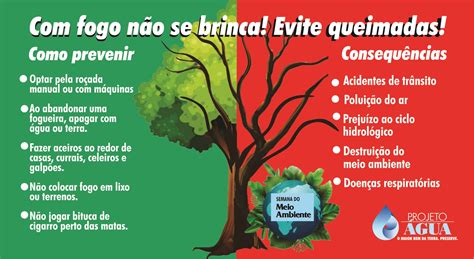 Como As Queimadas Prejudicam O Meio Ambiente - Semana do Meio Ambiente - Queimadas NÃO!