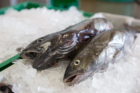 40 Overfishing Facts That You Need to Know About Today - Facts.net