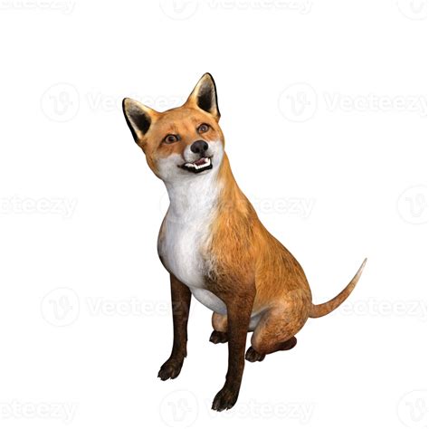 Fox Animal Isolated 3d 27140579 Png
