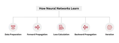 ultimate guide  understanding neural networks
