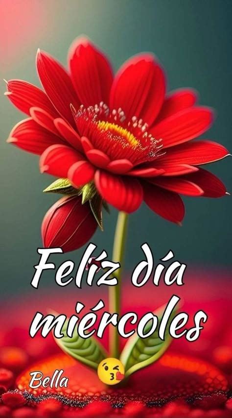 Feliz Miercoles Imagenes
