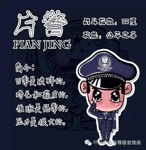 漲知識中國警察到底有什麼警種？ 每日頭條