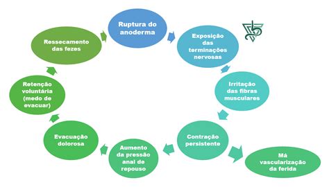 Dor ao evacuar Você pode ter Fissura Anal Fabio Israel