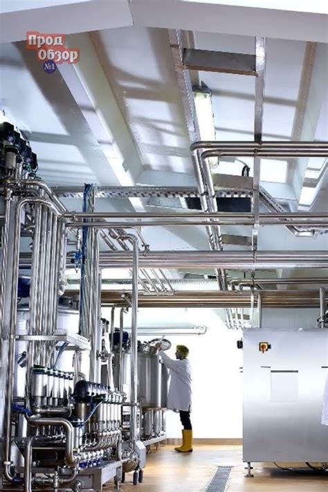 Пищевая добавка Е-200: Сорбиновая кислота – насколько вредна? #добавки ...