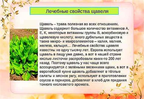 Конский щавель - Рецепты народной медицины