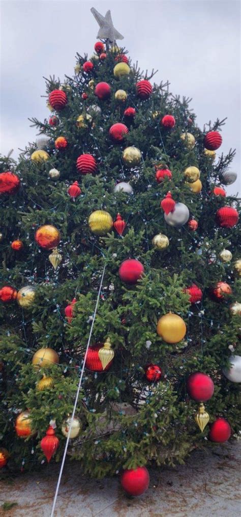 At This Time Of Year, Just Like Love, Nashville Holiday Lighting Is All ...