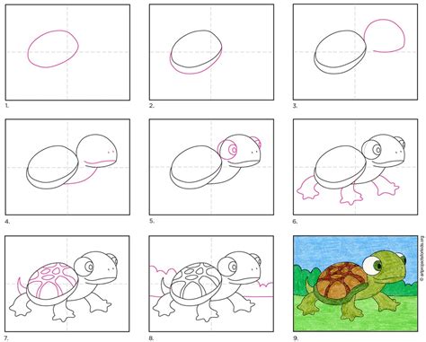 draw  turtle step  step   draw turtles easy step