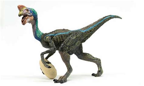 Top 10 Most Popular Dinosaur Pokemons Mydinosaurs