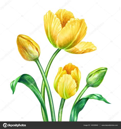 Pin De Ben Botero En ผีเสื้อ Pintura De Tulipán Tulipanes Amarillos