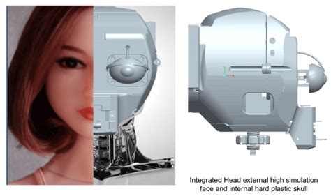 Smart Doll World A Lifelike Ai Sex Robot Doll