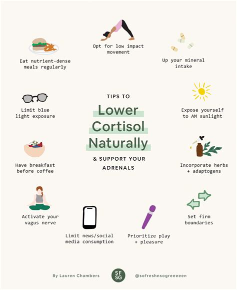 Tips To Lower Cortisol Naturally So Fresh N So Green