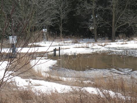 Hydrological Processes | Hydrology Journal | Wiley Online Library