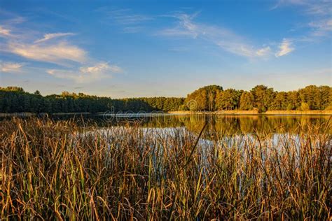 Paisaje Natural Del Lago Alta Definici N El Movimiento De Las Olas En