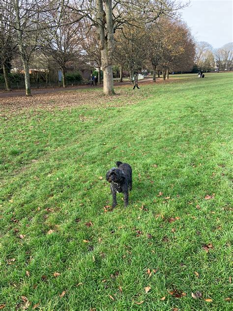 Today I Felt Unstoppably Happy. Celebrating the comforting routines of ...