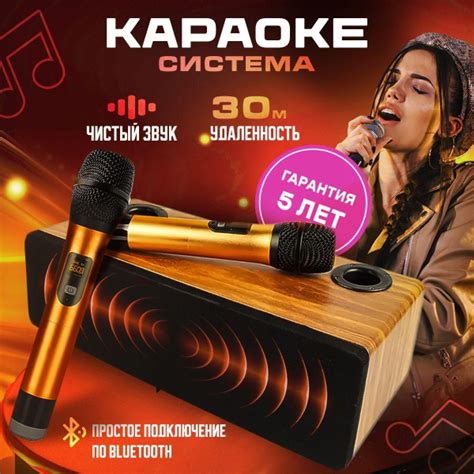 Беспроводная караоке система для дома, 2 микрофона - купить с доставкой ...