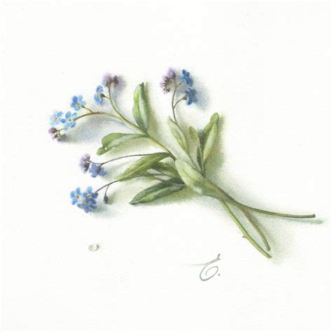 Экспресс урок Веточка незабудки акварелью | Lectoroom
