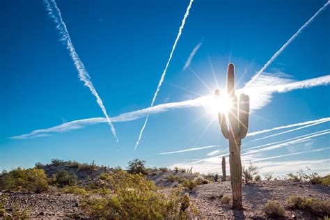 Climate Breakdown Has Begun As Phoenix Breaks Another Heat Record