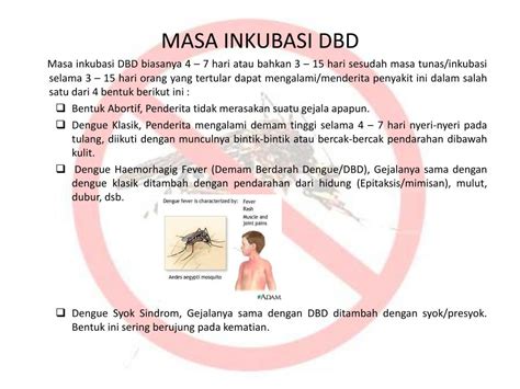 PPT DEMAM BERDARAH DENGUE DBD PowerPoint Presentation Free