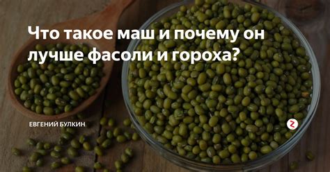 Что такое маш и почему он лучше фасоли и гороха? | Евгений Булкин | Дзен