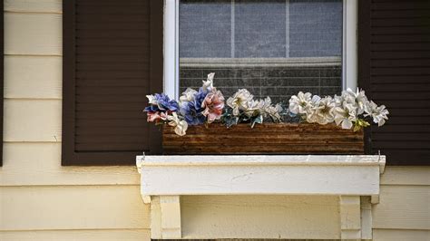 Flowers In A Window Box Free Stock Photo - Public Domain Pictures