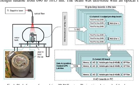 Figure From Photoacoustic Tomography System For Noninvasive Real Time