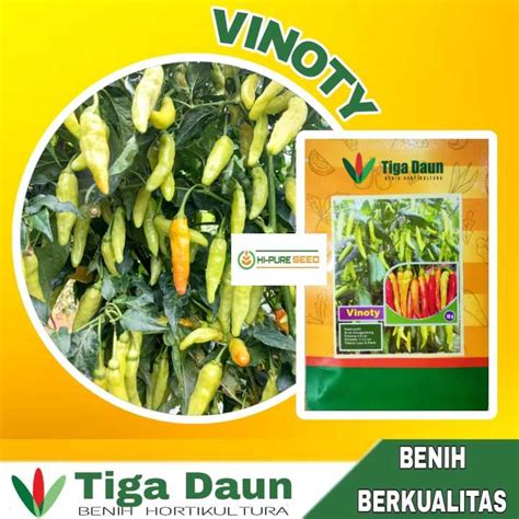 Benih Cabe Cabai Rawit Vinoty Gram Tipe Merunduk Menggantung Cap