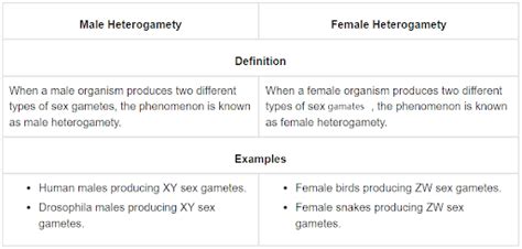 A Explain The Mechanism Of Sex Determination In Humans B Differentiat