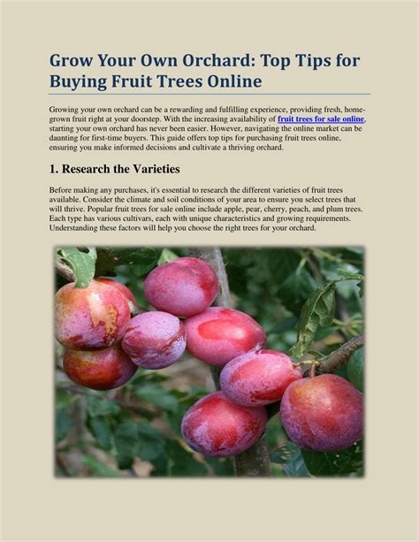 Ppt Grow Your Own Orchard Top Tips For Buying Fruit Trees Online Powerpoint Presentation Id