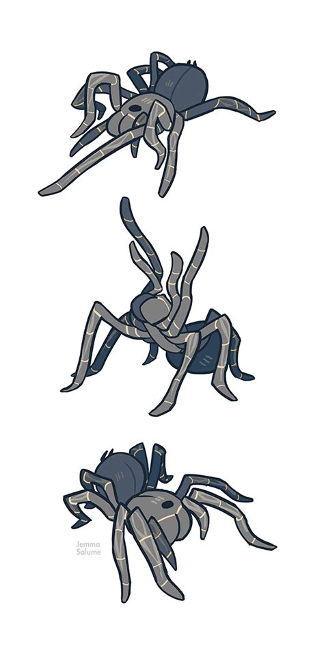 Studies - Tarantula by oxboxer on DeviantArt | Animal study, Animal ...