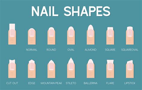 nail shape template