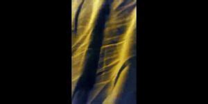 Milf Argenta Chupando Tnaflix