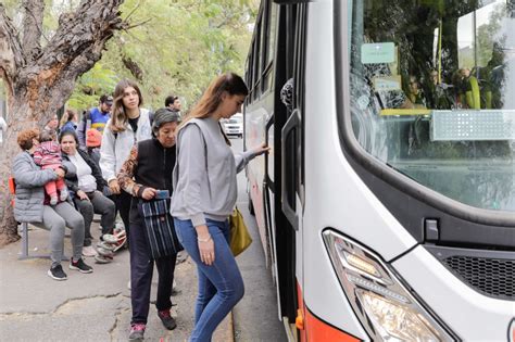 Elecciones 2023 El Ministerio De Transporte Estableció La Gratuidad